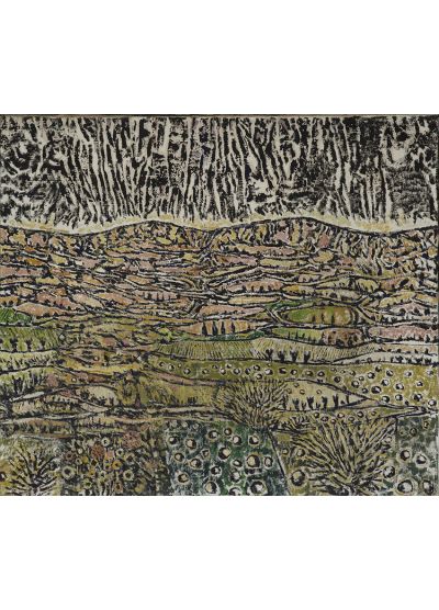 Tierras al Sol. 1954