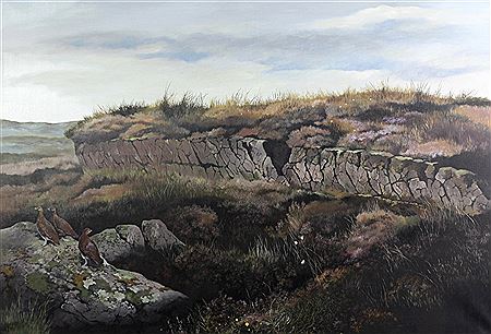 Grouse in Bogland
