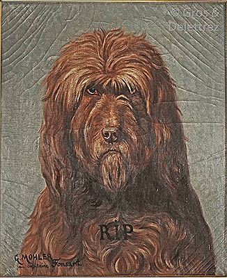 Le chien RIP