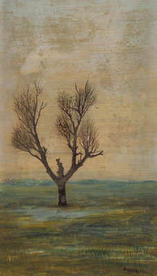 Grove