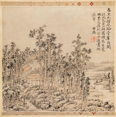 House Amid Pine Trees