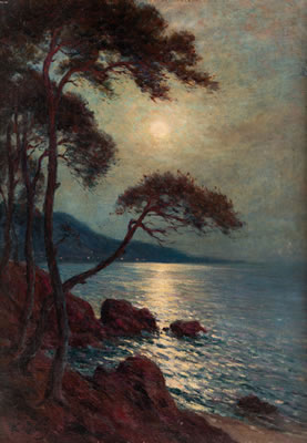 Les pins maritimes pres de Toulon