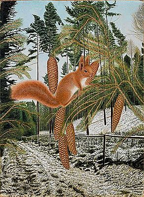 Squirrel on branch of fir in winter