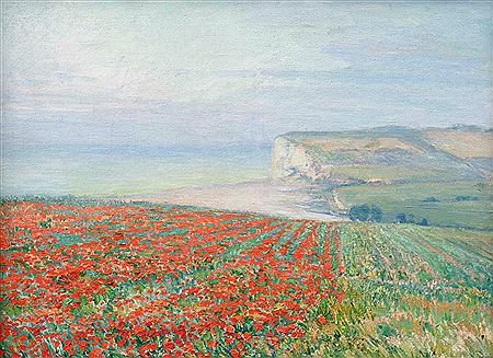 Blooming poppies in Normandy