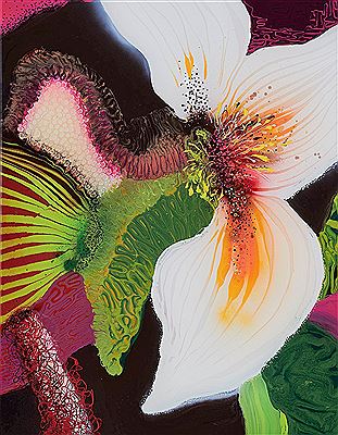 Calypso, 2006