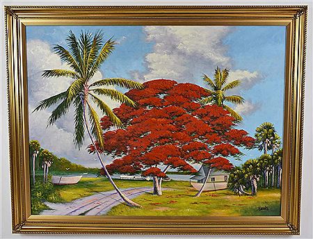 Royal Poinciana
