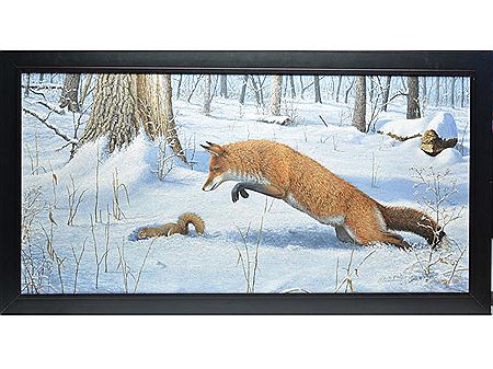 Red fox pouncing in pursuit of fox squirrel