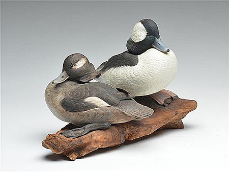 Full body pair of bufflehead