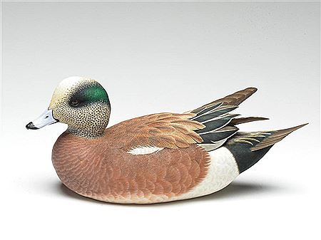 Widgeon drake with carved, crossed wingtips and slightly turned head