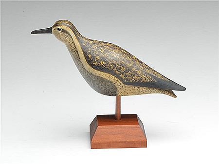 Golden plover