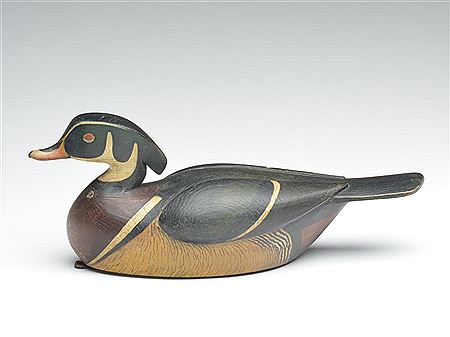 Duck drake
