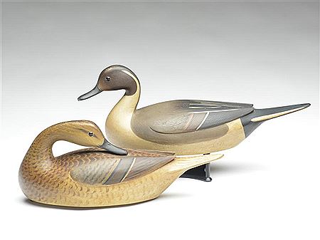 Pair of pintails