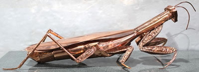 Preying Mantis by Ken Kalman - Auction record, sale price, and art valuation. Compare with similar artists and explore comparable artworks.