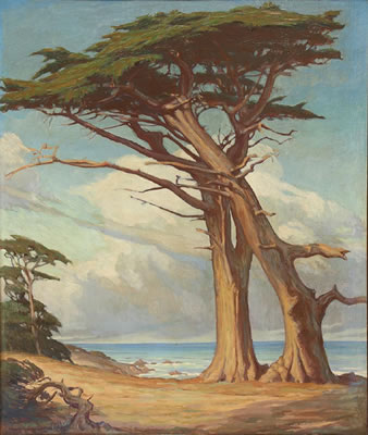 Cypresses Along the Monterey Coast