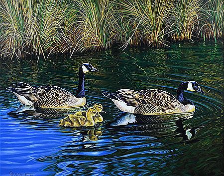 Canadian Geese, 1990