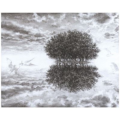Oasis In The Sky