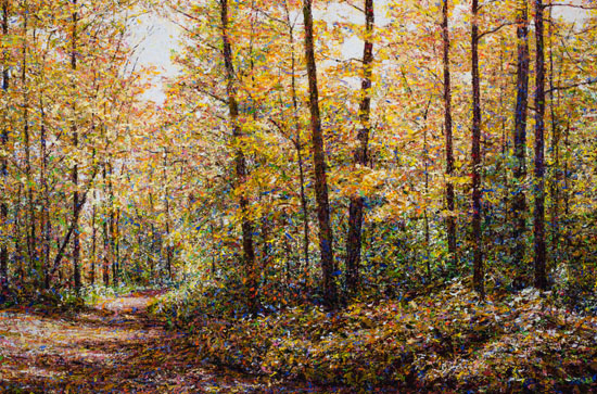 MCI 2096, Path Algonquin Park, Variant #1