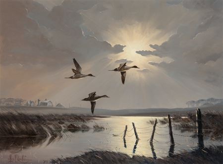 Prarie Pintails