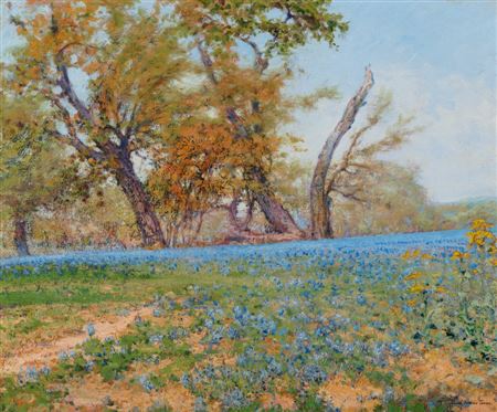 Atascosa Bluebonnets
