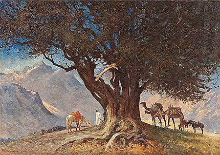 Resting under a tree at Dschebel Musa (Sinai)