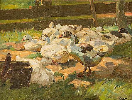Flock of ducks