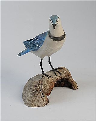Blue Jay