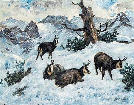 The chamois in the snow