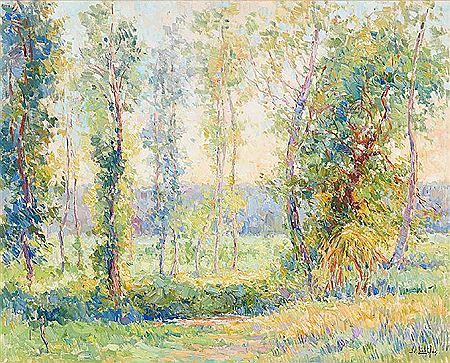 Allée de peupliers en été.