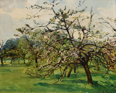 Pommiers du manoir d'Anjou
