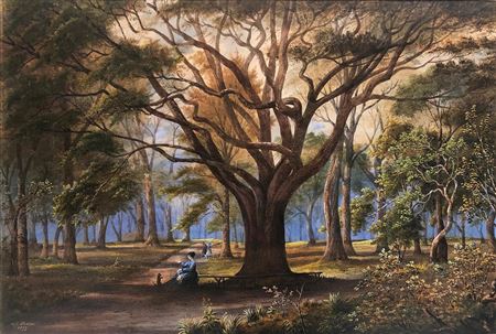 Auckland Domain by Alfred Sharpe - Auction record, sale price, and art valuation. Compare with similar artists and explore comparable artworks.