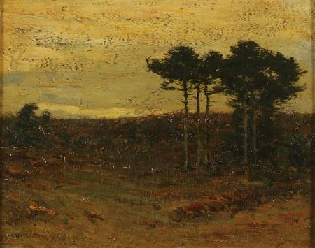 A Group of Pines