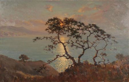 Pines at Sunset Near La Jolla