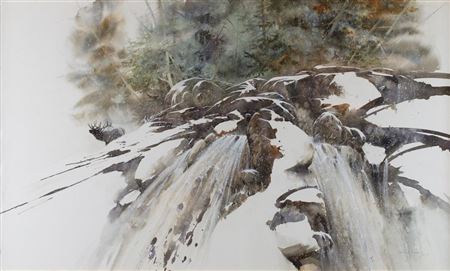 Along the Continental Divide