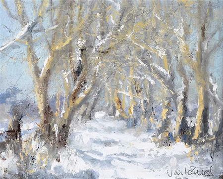 DARK HEDGES IN WINTER