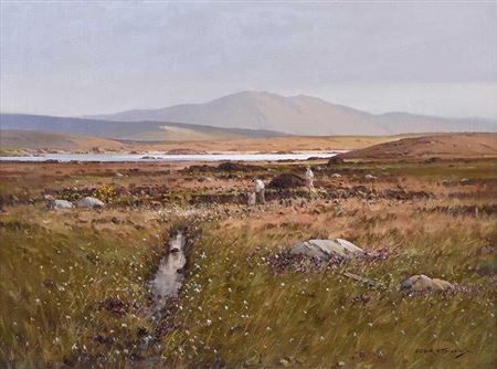 BOG IN BLOOM, MEELA, DONEGAL by Arthur H Twells - Auction record, sale price, and art valuation. Compare with similar artists and explore comparable artworks.
