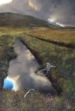 CONNEMARA BOGLANDS