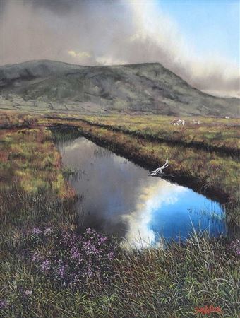 BOG REFLECTION