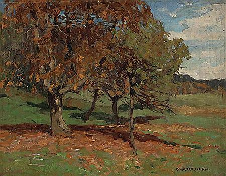 Landschaft