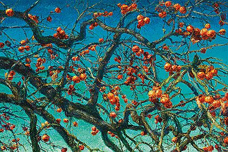 Persimmons