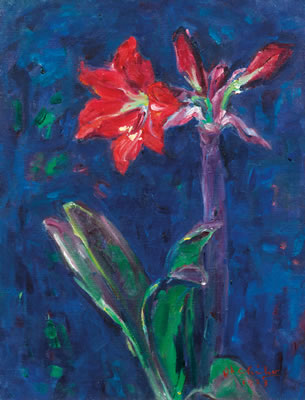 Amaryllis 1973