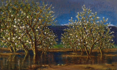 Blooming Trees