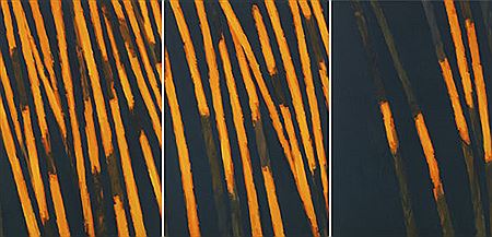 Untitled (Triptychon), 1987.