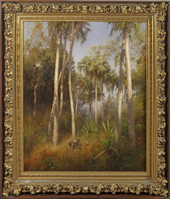 Große Florida-Landschaft in den Everglades