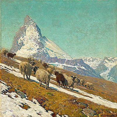Schafe im Hochgebirge. (Sheep in the high mountains before the Matterhorn)