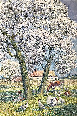 La lecture dans le pré