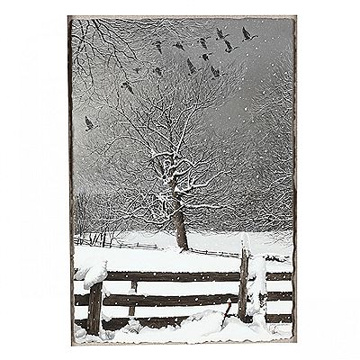 Winter Flight