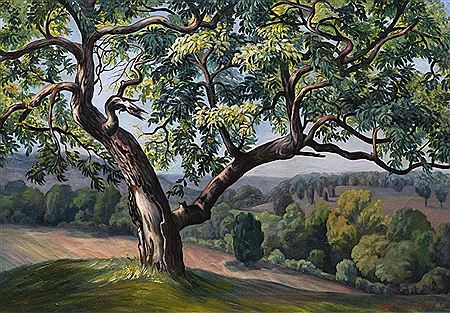 Ozark Hillside