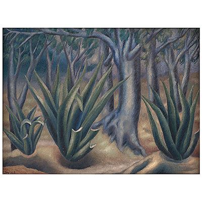 Paisaje con magueyes