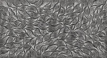 Sample artwork by Delvine Petyarre (Born 1982), known for aboriginal art, ceremonial painting of dreamtime story - View similar artists and auction records