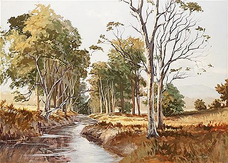 Sunlit Cox's River, Megalong Valley